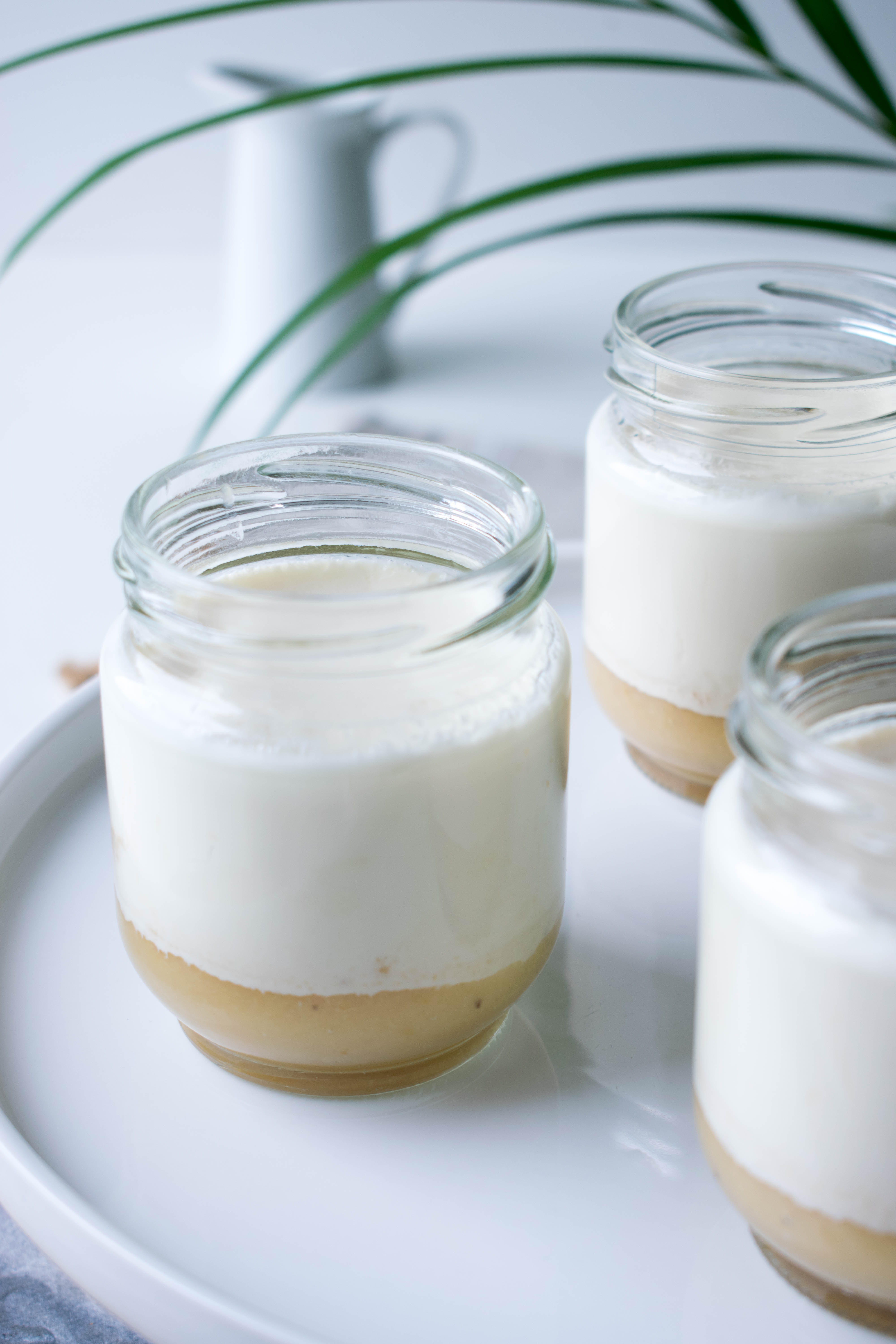 YAOURTS & COMPOTE MAISON Healthy Clemsy